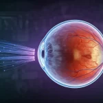 Immagine concettuale della connessione tra cervello e occhio, mostrando fibre nervose stilizzate che collegano un cervello traslucido a una retina dettagliata, sfondo scuro high-tech, obiettivo prime 35mm, profondità di campo, colori duotone blu e viola.