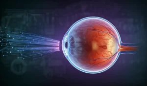 Immagine concettuale della connessione tra cervello e occhio, mostrando fibre nervose stilizzate che collegano un cervello traslucido a una retina dettagliata, sfondo scuro high-tech, obiettivo prime 35mm, profondità di campo, colori duotone blu e viola.