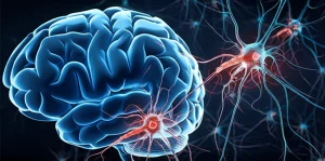 Immagine concettuale fotorealistica, obiettivo 35mm, profondità di campo, che mostra cellule immunitarie stilizzate (bianche e blu) che interagiscono con neuroni danneggiati (con filamenti rossi interni a simboleggiare aggregati proteici) su uno sfondo astratto e scuro del cervello, simboleggiando il legame complesso tra autoimmunità e neurodegenerazione.