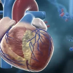 Immagine concettuale fotorealistica che mostra una valvola cardiaca umana sana che transiziona verso una valvola calcificata, con sovrapposta una visualizzazione stilizzata della molecola lncRNA NEAT1 (blu) che intrappola molecole di miR-214-3p (rosso), illuminazione drammatica laterale, profondità di campo ridotta che sfoca lo sfondo, colori blu e grigio duotone per un effetto clinico/scientifico.