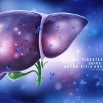 Immagine concettuale artistica del fegato umano con sovrapposizioni luminose che rappresentano l'attacco del sistema immunitario e molecole di autoanticorpi, colori duotone blu e viola, profondità di campo, stile fotorealistico, obiettivo prime 35mm.