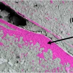 Primo piano di una sezione di trave in calcestruzzo armato a strati funzionali dopo il test di carbonatazione. Evidente la crepa che attraversa lo strato esterno più scuro (MC) e penetra nello strato interno più chiaro (LC). La fenolftaleina colora di rosa il calcestruzzo non carbonatato, evidenziando la maggiore penetrazione della CO2 (zona chiara) lungo la crepa e nello strato interno. Armatura in acciaio visibile. Obiettivo macro 60mm, alta definizione, illuminazione laterale per enfatizzare texture e contrasto cromatico.