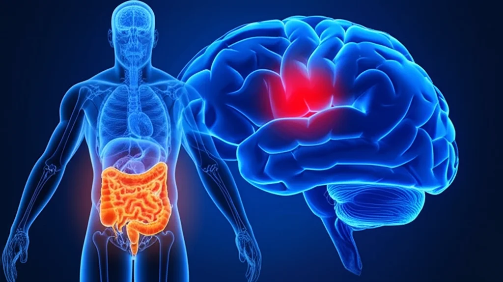 Illustrazione medica che mostra il grasso viscerale che circonda gli organi addominali e rilascia molecole infiammatorie nel flusso sanguigno, con un cervello stilizzato in background che mostra un'area colpita da ictus. Obiettivo prime 35mm, profondità di campo, illuminazione drammatica.