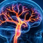 Immagine concettuale fotorealistica del cervello umano con una rete vascolare luminosa e rigenerata che emerge da un'area più scura rappresentante il danno ischemico, simboleggiando la riparazione promossa dalla melatonina. Profondità di campo, illuminazione suggestiva, obiettivo prime 35mm.