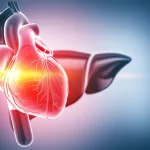 Fotografia medica concettuale: un cuore umano stilizzato e luminoso sovrapposto a un'immagine leggermente sfocata di un fegato sano. In primo piano, una provetta con un campione di sangue. Obiettivo prime 35mm, profondità di campo per mettere a fuoco cuore e provetta, colori caldi e freddi in duotone (rosso e blu) per simboleggiare la connessione tra cuore e fegato nell'insufficienza cardiaca e l'importanza dei test ematici come l'ALBI score.