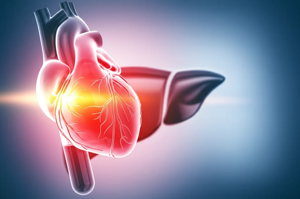 Fotografia medica concettuale: un cuore umano stilizzato e luminoso sovrapposto a un'immagine leggermente sfocata di un fegato sano. In primo piano, una provetta con un campione di sangue. Obiettivo prime 35mm, profondità di campo per mettere a fuoco cuore e provetta, colori caldi e freddi in duotone (rosso e blu) per simboleggiare la connessione tra cuore e fegato nell'insufficienza cardiaca e l'importanza dei test ematici come l'ALBI score.