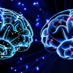 Immagine concettuale fotorealistica di due cervelli umani stilizzati, uno rappresentante la salute (connessioni neurali luminose e ordinate) e l'altro la schizofrenia (connessioni simili ma con sottili differenze nel pattern e nella densità in alcune aree, come il DMN). Sovrapposti a una complessa rete di connessioni luminose simili a fibre ottiche su sfondo scuro. Obiettivo 50mm, profondità di campo per mettere a fuoco le reti, illuminazione drammatica che evidenzia le differenze.