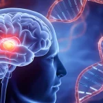 Concetto astratto che mostra la connessione tra vasi sanguigni rossi e blu stilizzati, eliche di DNA luminose e un cervello umano trasparente con aree attive, rappresentando lo stress biologico vascolare e la cognizione. Obiettivo 50mm, profondità di campo, illuminazione drammatica blu e viola duotone.