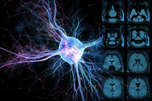 Concetto futuristico di intelligenza artificiale che analizza dati multimodali (risonanza magnetica, istologia, dati clinici) per la prognosi del cancro ovarico. Visualizzazione astratta con reti neurali luminose sovrapposte a immagini mediche. Alta definizione, illuminazione drammatica, stile cinematografico.
