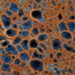 Primo piano macro fotorealistico di una superficie metallica corrosa di una superlega K452, mostrando dettagli intricati di ossidazione colorata (ossidi di cromo e titanio) e vaiolatura scura causati dall'esposizione a SO2 ad alta temperatura (900°C). Illuminazione controllata da laboratorio, alta definizione, obiettivo macro 100mm, messa a fuoco precisa sui crateri.