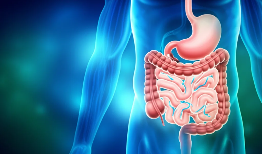Immagine concettuale che mostra un sorriso bianco e sano sovrapposto a un'illustrazione stilizzata e luminosa del tratto digestivo, con linee energetiche che collegano visivamente la bocca all'intestino. Sfondo astratto blu e verde sfumato. Prime lens, 50mm, depth of field, colori chiari, positivi e legati alla salute.