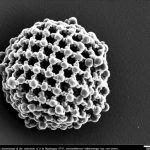Micrografia elettronica a trasmissione ad alta risoluzione del virus della Bluetongue (BTV), che mostra chiaramente la sua struttura capsidica icosaedrica esterna e il core interno. Obiettivo macro ad alta potenza, dettagli ultrastrutturali visibili, sfondo scuro scientifico, illuminazione precisa per evidenziare la morfologia virale.