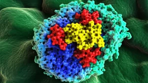 Visualizzazione 3D fotorealistica della molecola Z1362873773 che interagisce con la proteina fascina all'interno di una cellula tumorale, stile scientifico, alta definizione, illuminazione drammatica che evidenzia il sito di legame.