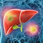 Visualizzazione artistica del fegato umano con molecole di THC che interagiscono con le cellule epatiche, stile fotorealistico, dettagli molecolari visibili, sfondo astratto high-tech, lente 35mm, profondità di campo, per rappresentare l'interazione tra cannabis e fegato.