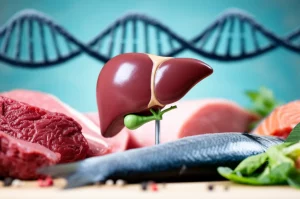 Composizione still life: un modello anatomico stilizzato di fegato umano al centro, circondato da un lato da carni rosse e processate e dall'altro da pesce azzurro e verdure fresche; una doppia elica del DNA sfocata sullo sfondo. Lente macro 60mm, illuminazione drammatica controllata, alta definizione, messa a fuoco selettiva sul fegato.