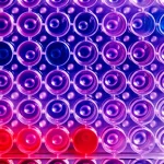Macro fotografia, 100mm lens, high detail, controlled lighting, che mostra i risultati colorati di un test Alamar Blue in una micropiastra a 96 pozzetti. Pozzetti blu indicano inibizione della crescita batterica (farmaco efficace), pozzetti rosa indicano crescita (farmaco inefficace), illustrando la diversa efficacia dei farmaci contro Mycobacterium tuberculosis.
