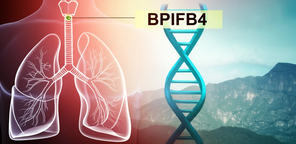 Visualizzazione artistica di una mappa genetica stilizzata con evidenziato il gene BPIFB4, sovrapposta a un'immagine medica sfocata dei polmoni umani affetti da BPCO e sullo sfondo un paesaggio montuoso che ricorda la regione di Kashi. Obiettivo grandangolare 24mm, profondità di campo, colori caldi (rosso/arancio per il rischio) e freddi (blu/verde per la genetica) in duotone per contrasto, alta definizione.