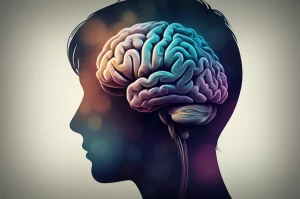 Immagine fotorealistica concettuale: una silhouette stilizzata della testa di un'adolescente vista di profilo. All'interno della silhouette, un cervello reso con colori vivaci ma con le aree frontali e parietali leggermente più opache o scure, a simboleggiare la vulnerabilità. Sfondo neutro, morbido e leggermente sfocato. Prime lens, 50mm, depth of field, illuminazione delicata.