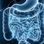 Rappresentazione concettuale dello stomaco umano con batteri Helicobacter pylori luminescenti al suo interno, immagine scattata con lente prime da 35mm, effetto profondità di campo, bicromia blu e grigio scuro, a simboleggiare il legame tra il batterio e la salute gastrica e il rischio oncologico.
