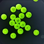 Primo piano macro, lente 100mm, di protoplasti di vite Chardonnay sferici e sani, alcuni dei quali emettono una debole fluorescenza verde (GFP), sospesi in una soluzione limpida all'interno di una piastra Petri. Illuminazione controllata dall'alto, alta definizione, messa a fuoco precisa su un gruppo di protoplasti al centro, sfondo leggermente sfocato (profondità di campo).