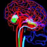 Immagine concettuale fotorealistica del flusso sanguigno nel cervello umano visualizzato tramite Doppler Transcranico, con aree illuminate che rappresentano le arterie cerebrali medie e le carotidi, prime lens 50mm, profondità di campo, colori blu e rosso duotone per indicare direzione e velocità del flusso, sfondo scuro per enfatizzare il soggetto.