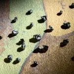 Immagine fotorealistica di cristalli di zircone detritico brillanti e sfaccettati sparsi su una mappa geologica antica del Blocco Yangtze. Obiettivo macro 90mm, dettaglio elevato, illuminazione drammatica laterale che crea lunghe ombre, messa a fuoco selettiva sui cristalli in primo piano.
