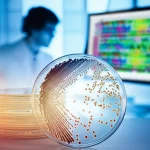 Immagine fotorealistica di una piastra di Petri in un laboratorio di microbiologia, con colonie batteriche della nuova specie Providencia pseudovermicola illuminate artisticamente; sullo sfondo sfocato, uno scienziato osserva dati di sequenziamento genomico su uno schermo di computer. Obiettivo macro 90mm, illuminazione controllata, alta definizione, focus sulle colonie batteriche, profondità di campo.