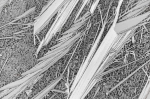Immagine macro fotorealistica di una lega metallica high-entropy bifasica (BCC/FCC) appena solidificata, con microstruttura dendritica visibile, illuminazione controllata per evidenziare i dettagli cristallini, obiettivo macro 100mm.
