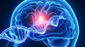 Immagine concettuale fotorealistica che mostra un cervello stilizzato con un aneurisma intracranico luminoso e un'aorta addominale con un aneurisma, collegati da filamenti luminosi simili a DNA che rappresentano i geni condivisi come ITGA11. Prime lens, 35mm, depth of field, illuminazione drammatica, alta definizione.
