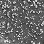 Immagine fotorealistica, lente macro 100mm, che mostra nanoparticelle di nichel distribuite uniformemente su un foglio di ossido di grafene ridotto drogato con alogeni, con dettagli ad alta precisione sulla struttura a foglia e illuminazione controllata che ne esalta la superficie attiva per la reazione di sviluppo di idrogeno.