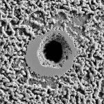 Scatto macro fotorealistico, lente 100mm, sezione trasversale di un grano di propellente per razzi solidi che mostra texture intricata e foro interno, messa a fuoco precisa, illuminazione controllata che enfatizza le proprietà del materiale, dettaglio elevato.