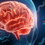 Visualizzazione artistica fotorealistica del cervello umano con aree evidenziate che mostrano infiammazione post-ictus ischemico e molecole lncRNA (MALAT1, GAS5) stilizzate che interagiscono. Sfondo scuro con focus nitido sulle strutture cerebrali e molecolari, illuminazione drammatica, stile cinematografico, obiettivo 35mm con profondità di campo.