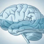 Immagine concettuale, obiettivo 35mm, profondità di campo, che mostra un cervello umano stilizzato con onde fluide che rappresentano il liquido cerebrospinale (LCS), sovrapposta delicatamente una struttura molecolare del GLP-1, tonalità duotone blu e grigio, a simboleggiare il legame tra l'ormone GLP-1 e la regolazione della pressione intracranica.
