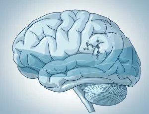 Immagine concettuale, obiettivo 35mm, profondità di campo, che mostra un cervello umano stilizzato con onde fluide che rappresentano il liquido cerebrospinale (LCS), sovrapposta delicatamente una struttura molecolare del GLP-1, tonalità duotone blu e grigio, a simboleggiare il legame tra l'ormone GLP-1 e la regolazione della pressione intracranica.