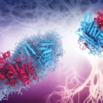 Illustrazione medica che mostra la proteina transtiretina (TTR) nella sua forma normale e nella forma mutata che porta alla formazione di fibrille amiloidi, con un focus sulla struttura proteica. Sfondo astratto che richiama il sistema nervoso e il cuore. Stile fotorealistico con dettagli molecolari accurati.