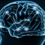 Immagine concettuale del cervello umano con percorsi neurali luminosi che collegano le aree visive alle aree decisionali, sovrapposta a una rappresentazione astratta di stimoli temporali asincroni (sinistra/destra), obiettivo 35mm, colori duotone blu e grigio, profondità di campo, che illustra il monitoraggio metacognitivo asimmetrico dell'asincronia soggettiva.