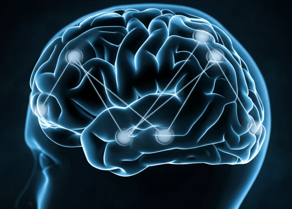 Immagine concettuale del cervello umano con percorsi neurali luminosi che collegano le aree visive alle aree decisionali, sovrapposta a una rappresentazione astratta di stimoli temporali asincroni (sinistra/destra), obiettivo 35mm, colori duotone blu e grigio, profondità di campo, che illustra il monitoraggio metacognitivo asimmetrico dell'asincronia soggettiva.