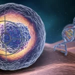 Illustrazione concettuale fotorealistica della sinergia tra due farmaci (Olaparib e Cisplatino) che attaccano una cellula tumorale del seno, visualizzata come un bersaglio complesso con DNA danneggiato al centro. Stile high detail con dettagli molecolari astratti, illuminazione focalizzata e drammatica, obiettivo 50mm prime lens, profondità di campo ridotta.