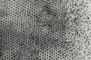 Primo piano macro, obiettivo 100mm, di pellet di polimero traslucido mescolati con particelle scure di fondi di caffè e tè trattati con silano, mostrando un'eccellente dispersione. Illuminazione da studio controllata per massimo dettaglio e texture. Focus preciso sull'interfaccia tra particelle e matrice polimerica.