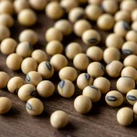 Scatto macro di semi di soia diversi per colore e texture, disposti su una superficie di legno rustico, a simboleggiare la diversità genetica. Obiettivo macro 85mm, alta definizione, illuminazione controllata, toni naturali.