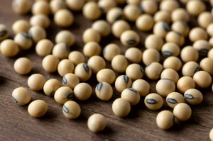 Scatto macro di semi di soia diversi per colore e texture, disposti su una superficie di legno rustico, a simboleggiare la diversità genetica. Obiettivo macro 85mm, alta definizione, illuminazione controllata, toni naturali.