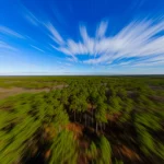 Panoramica aerea mozzafiato della foresta 'pine barrens' del Brookhaven National Laboratory a Long Island, obiettivo grandangolare 15mm, con i pini che si estendono fino all'orizzonte sotto un cielo azzurro limpido, lunga esposizione per nuvole soffici, focus nitido, colori vividi del paesaggio autunnale.