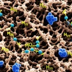Immagine fotorealistica di cellule di carcinoma squamoso della testa e del collo (HNSCC) al microscopio elettronico a scansione, evidenziando la superficie cellulare irregolare e l'interazione con molecole stilizzate di idrogeno solforato (H2S) nel microambiente tumorale. Lente macro 90mm, alta definizione, illuminazione da laboratorio controllata, colori realistici con leggera desaturazione.
