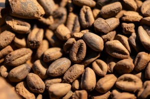 Semi carbonizzati di grano, orzo e legumi scoperti in un vaso di terracotta rotto durante scavi archeologici a Old Dongola, Sudan. Macro lens, 90mm, high detail, precise focusing, controlled lighting, che evidenzia la texture dei semi antichi e della ceramica.