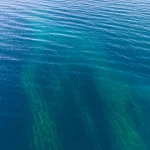 Vista fotorealistica grandangolare, lente 20mm, di una colonna d'acqua oceanica illuminata dal sole che transita verso profondità più scure, messa a fuoco nitida, che mostra sottili variazioni nel colore dell'acqua suggerendo diverse comunità microbiche (AOA/AOB) coinvolte nel ciclo dell'azoto, superficie dell'acqua liscia.