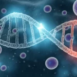 Visualizzazione artistica 3D di una doppia elica di DNA con le estremità dei telomeri luminose che si accorciano gradualmente, sfondo astratto che rappresenta cellule immunitarie stilizzate in attacco, wide-angle lens 20mm per dare un senso di vastità biologica, illuminazione suggestiva e drammatica.
