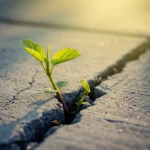 Immagine concettuale della resilienza psicologica: una pianta verde brillante che cresce vigorosamente attraverso una crepa nel cemento grigio, illuminata da un caldo raggio di sole. Macro lens 60mm, alta definizione, illuminazione drammatica controllata, focus preciso sulla pianta che simboleggia speranza e superamento delle avversità.