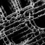 Immagine fotorealistica, obiettivo macro 85mm, diverse strutture giroidali in zirconia nera con dimensioni delle celle variabili disposte esteticamente, mostrando la loro complessa geometria e la finitura nera opaca, alto dettaglio, messa a fuoco precisa, illuminazione controllata da studio.