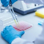 Primo piano di una mano guantata di un ricercatore che tiene una pipetta multicanale sopra una piastra ELISA a 96 pozzetti in un laboratorio scientifico, focus selettivo sulle punte della pipetta che dispensano liquido nei pozzetti, sfondo leggermente sfocato con attrezzatura da laboratorio moderna, illuminazione da laboratorio chiara e definita, lente prime 50mm, profondità di campo controllata.