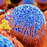 Visualizzazione 3D fotorealistica di una cellula tumorale pancreatica. In primo piano, il reticolo endoplasmatico (struttura reticolare bluastra) viene parzialmente avvolto da membrane autofagiche (giallo/rosse) a formare autofagosomi, processo noto come ER-fagia. Sullo sfondo, molecole stilizzate di inibitori HDAC e Gemcitabina interagiscono con la cellula. Obiettivo macro 85mm, alta definizione, illuminazione interna suggestiva che evidenzia i dettagli subcellulari, focus preciso sull'interazione tra ER e autofagosomi.